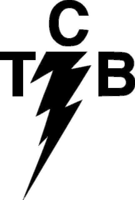 TCB Elvis lightning bolt vinyl sticker truck band 422  