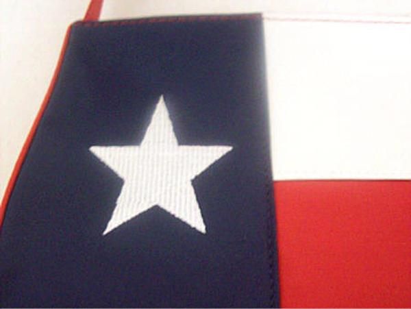 Microfiber Texas Flag Handbag Purse Rebel Dixie  